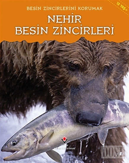 Besin Zincirlerini Korumak - Nehir Besin Zincirleri